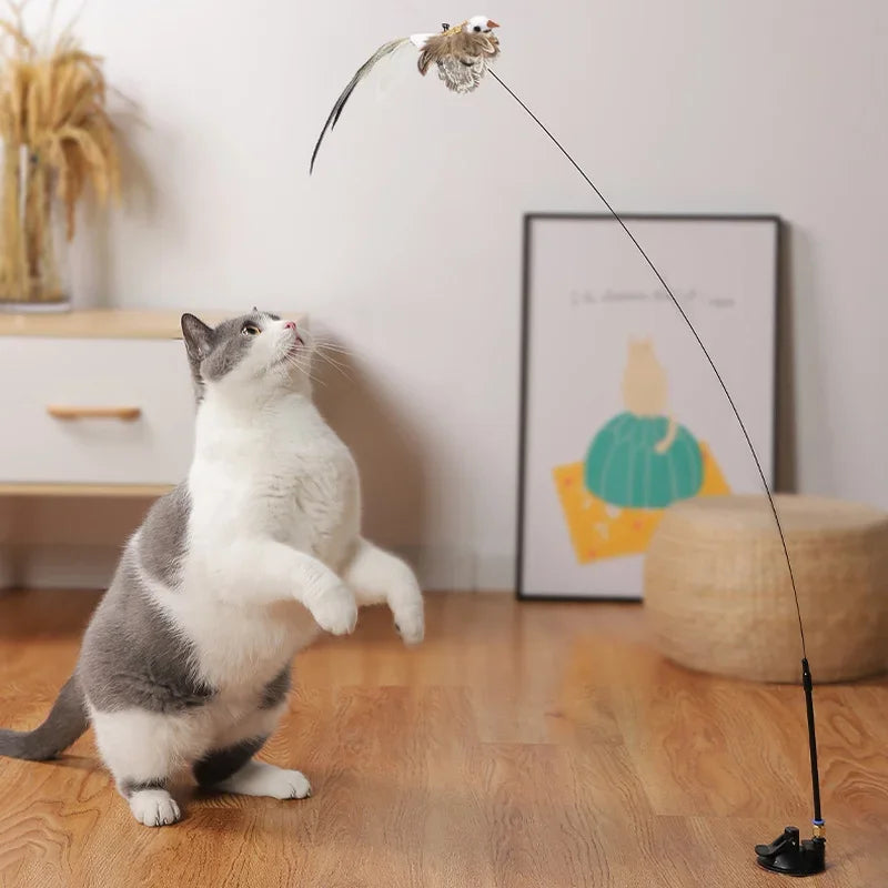 The Interactive Bird Simulation Toy